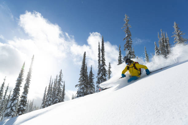 istock Powder skiing on sunny day 2189995273
