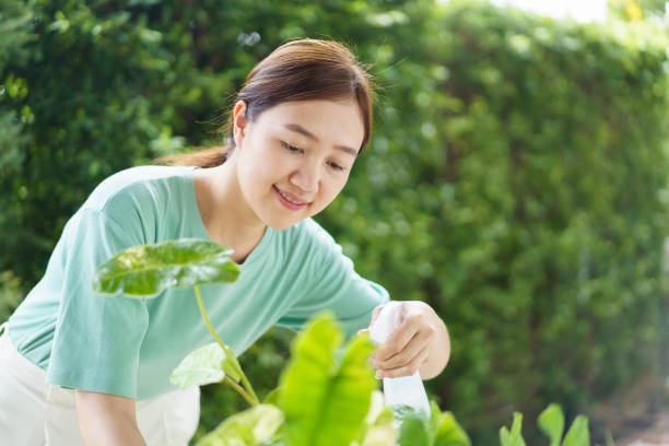istock Woman doing her planting hobby in free time. 2189997183