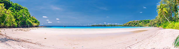 istock Panoramic landscape Amazing tropical sand beach with palm trees and crystal clear ocean on background blue sky 2189999276