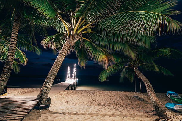 istock Nature landscape tropical beach with scenery palm tree and crystal clear ocean water on nature background 2190001585
