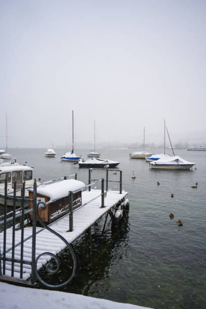 Snow-dusted boats float near a wooden dock on a serene winter day. Sailboats anchored quietly in a misty harbor. Tranquil snowy marina scene with ducks in the water.K