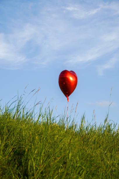 Vibrant red heart-shaped balloon drifting above lush green field. Symbol of love and freedom in nature. Captures romantic and whimsical outdoor scenery.K
