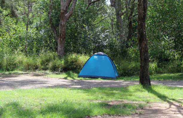 istock Small blue camping tent pitched on grass and surrounded by tall trees 2190009780