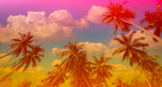 istock Banner Summer with colorful theme as palm trees background as texture frame background 2190014869