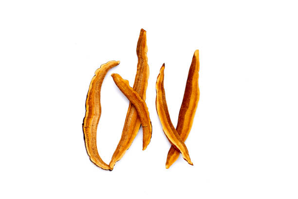 istock Dried lingzhi mushroom slices on white background 2190017073