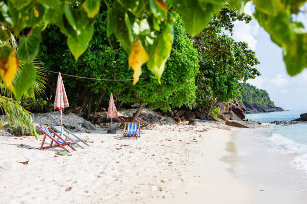 istock Sun chairs and umbrellas at secluded tropical beach 2190020625