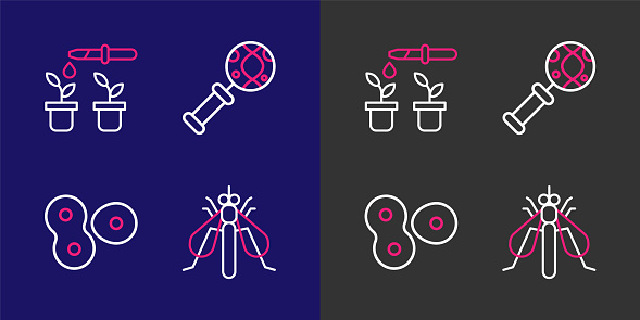 Squeda Insect Ilustración de Línea De Ajuste Insectos Experimentales División Celular ...
