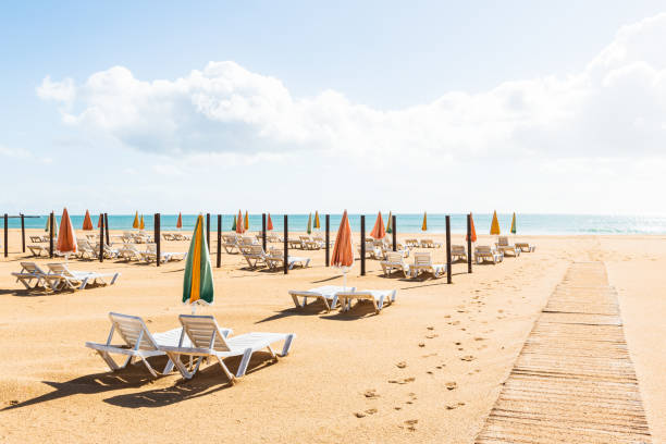 istock Empty beach with colorful umbrellas and lounge chairs under a clear sky by the calm ocean 2190025047