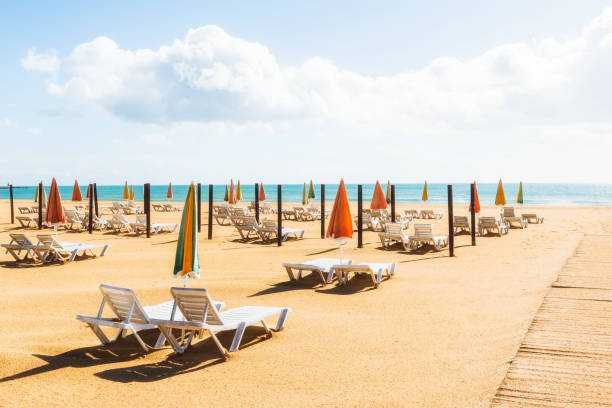 Empty beach loungers and umbrellas under sunlight on a quiet shore in summer