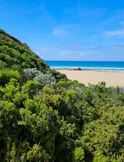 istock Beach on Great Ocean road Victoria Australia 2190028529