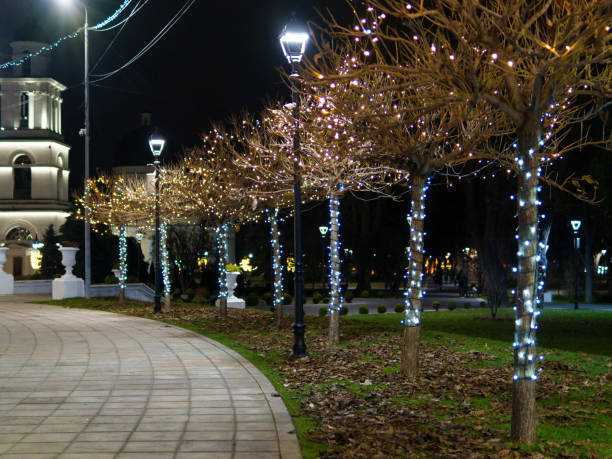 istock Twinkling lights illuminate trees along a serene park pathway at night 2190038112