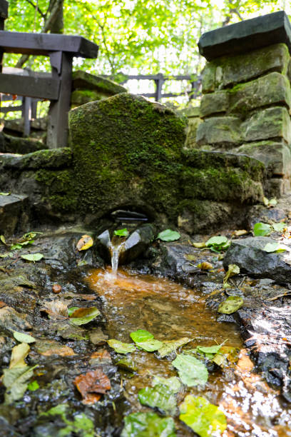 A small stone well with running water surrounded by lush greenery and a wooden bench. The image captures the beauty of nature and the feeling of tranquility.