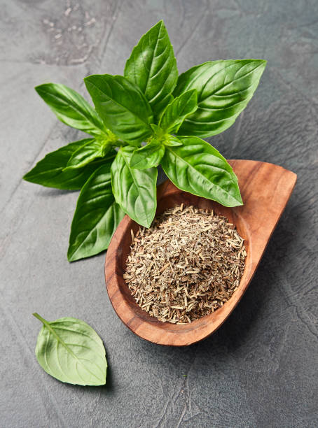 istock Dry basil herbal  and fresh basil leaves 2190048381