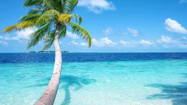 istock Tropical paradise beach scenery for background or wallpaper 2190049967