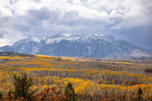 Snow Capped Mountain, Overcast Sky, Beautiful Fall Colored Aspen Trees