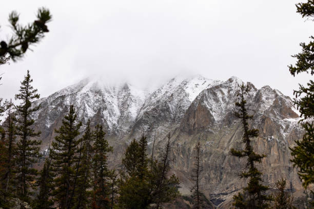 Mighty Snow Capped Mountain Range, Snow Clouds, Tree Line in Foreground, Copy Space