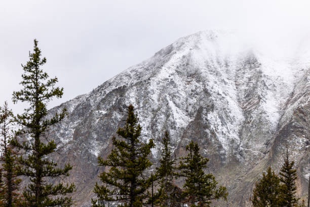 Rugged Majestic Snowy Mountain, Pine Tree Line in Foreground, Copy Space,  Landscape