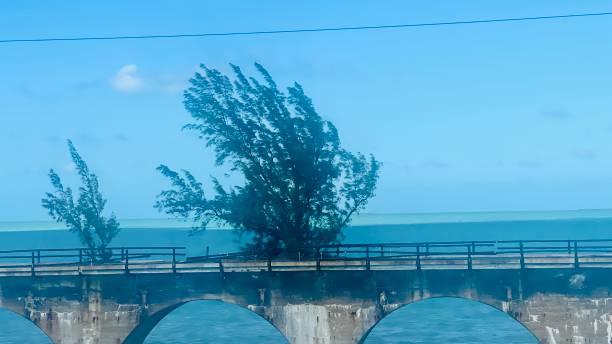 istock In the road to key west Florida 2190066270