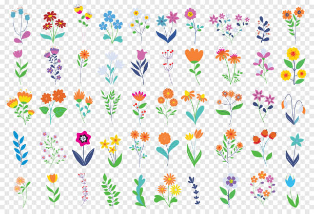 ilustrații de stoc cu elemente florale - floare