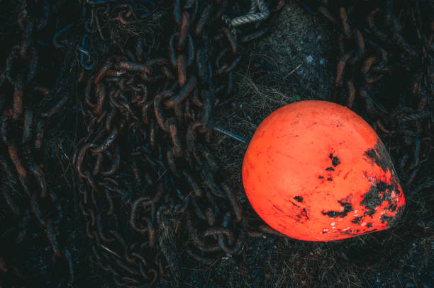 A bright orange buoy sits amidst rusty chains on the ground, showcasing a tranquil setting. The dim light of dawn softly illuminates the scene by the water, creating a serene atmosphere.
