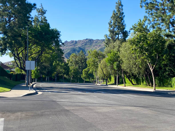 istock Empty Tree-Lined Street With Mountains in the Background on a Clear Sunny Day 2190069429