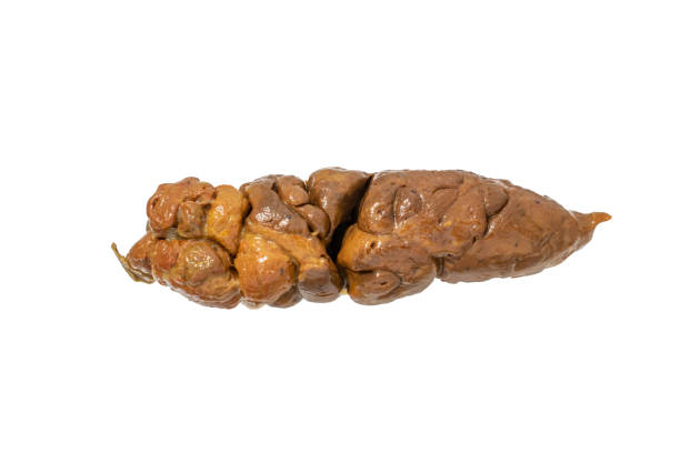 istock poop, excrement, feces, shit on white background 2190070510