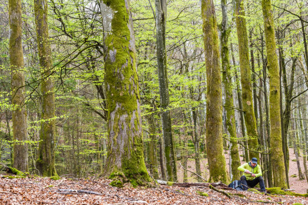 istock Tourist man having a break with thermos bottle in beech forest. 2190072136