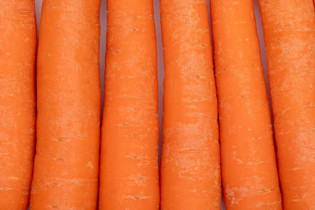 Carrot Texture Background  Vibrant Orange Vegetable Design for Slides and Presentations