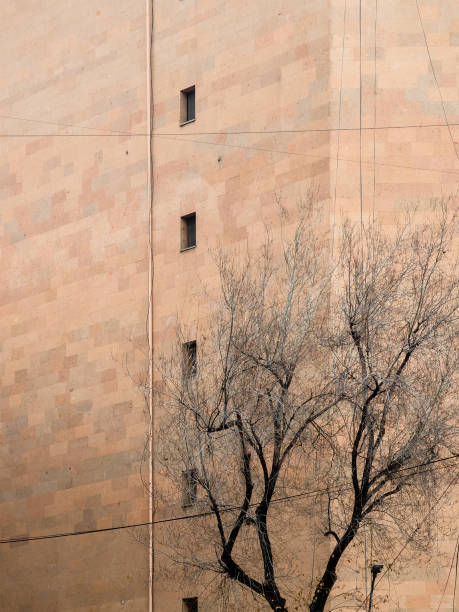 istock bare tree and building tiled with armenian tuff 2190082609