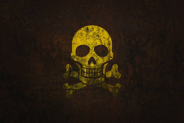 Sculptured skull and crossbones, an old mortality symbol, on a medieval, weathered and lichen-covered tombstone.