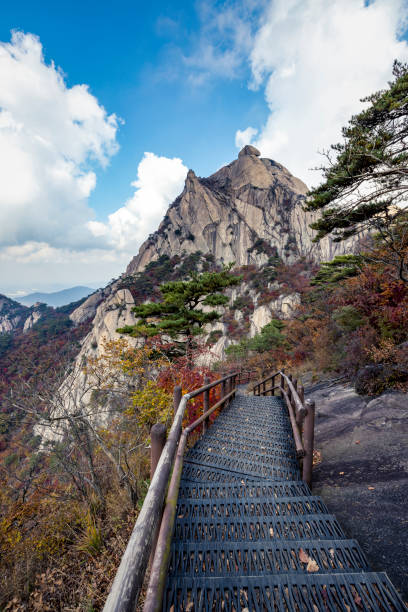 istock bukhansan national park, seoul, south korea 2190093728