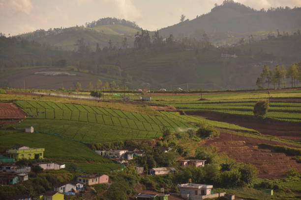 Beautiful green nature in the midst of Ooty in Tamil Nadu, India