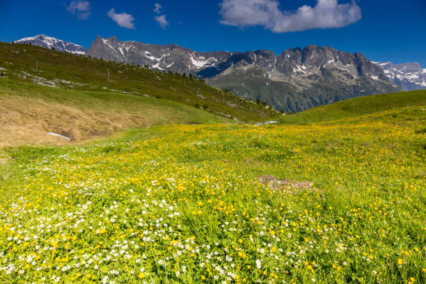 istock Alps scenic landscape on Tour du Montblanc 2190101462