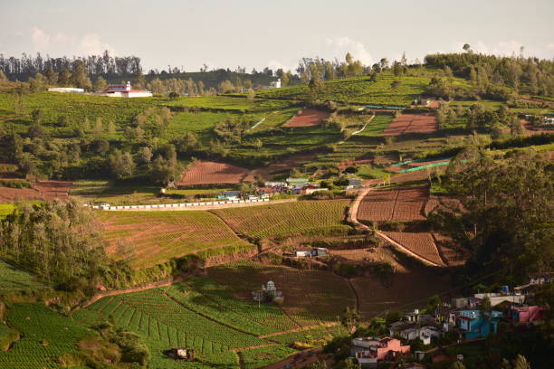 istock Beautiful scenery in Ooty, Tamil Nadu, India 2190102814