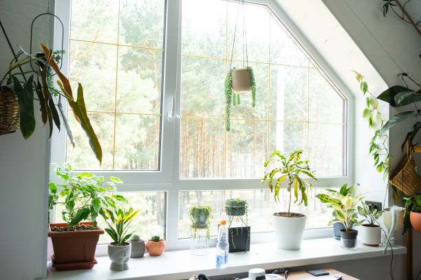 istock Window cleaning products are lying on the windowsill with a rag, spray, detergent, a robot cleaner. Spring cleaning in the house, cleaning service 2190103071