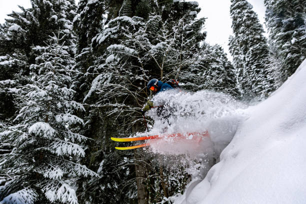 istock Free skier flying off a powdery feature in a winter forest 2190103983