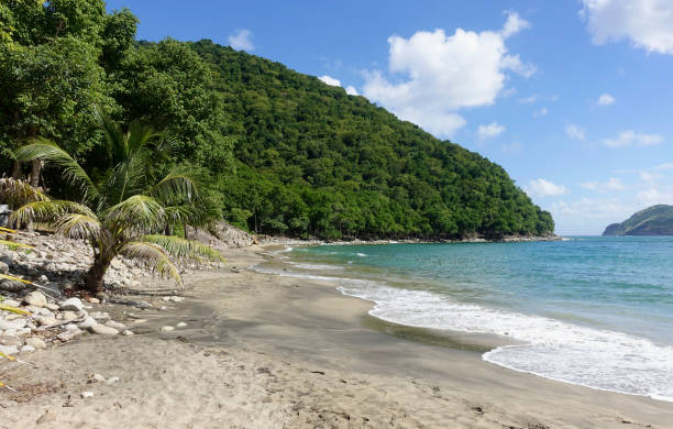 istock Crawen Beach, Terre De-Haut 2190105278