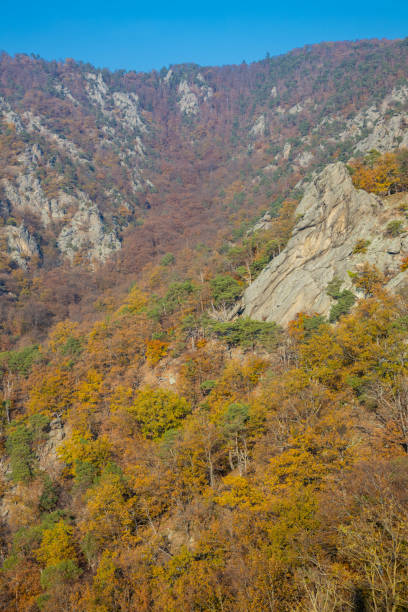 istock Autumn colors in the mountain forest 2190108377