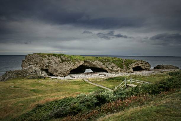 This image captures the breathtaking natural rock formation with large arches located by the sea in Newfoundland. The rock formation is topped with patches of green vegetation and framed by a pebble beach beneath. The overcast sky adds a moody atmosphere to the scene, enhancing the dramatic beauty of this unique geological feature. In the foreground, a grassy area with a wooden walkway and steps leads visitors toward the magnificent arches, showcasing the rugged coastal landscape that is a hallmark of Newfoundland's natural charm.