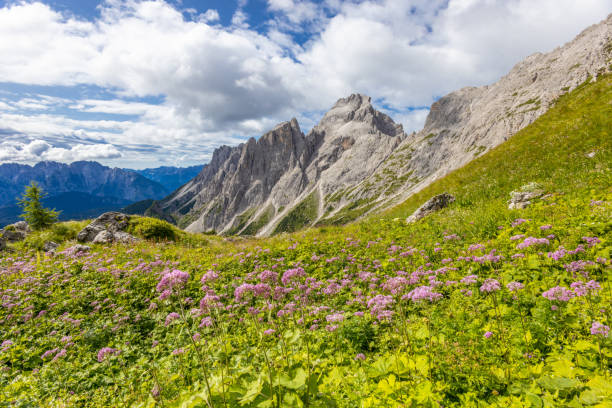 istock Dolomites sunny weather in summer Alps mountains 2190114642