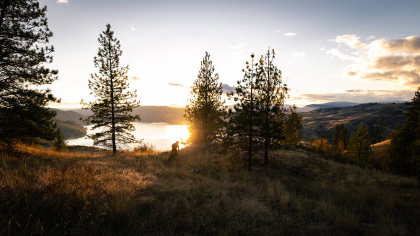 Kalamalka Lake Provincial Park