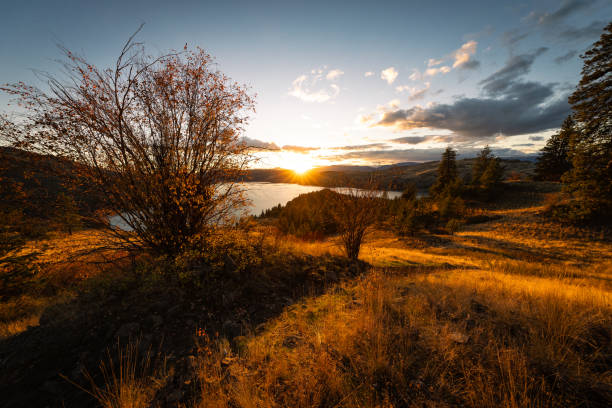 istock Kalamalka Lake Provincial Park 2190116269