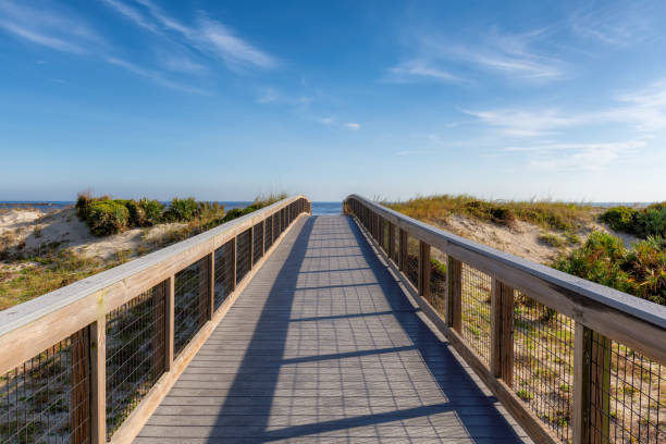 istock Elevated boardwalk trail in New Smyrna beach, Florida 2190118330