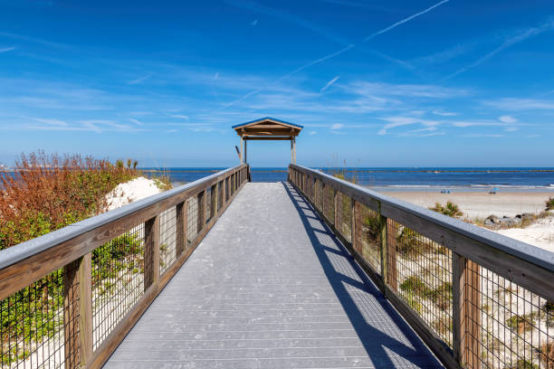 istock Elevated boardwalk trail in New Smyrna beach, Florida 2190118392