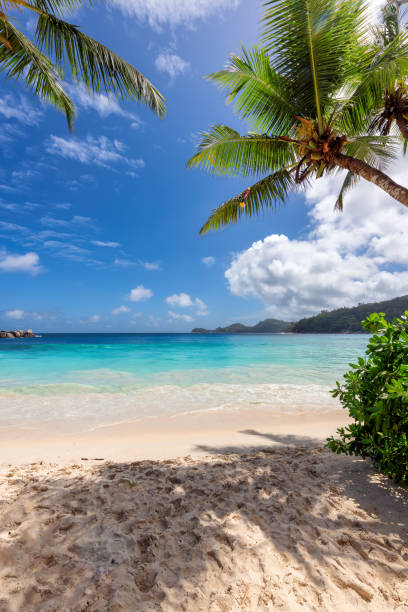 istock Sunny beach with coco palms and tropical sea in tropical island 2190118402