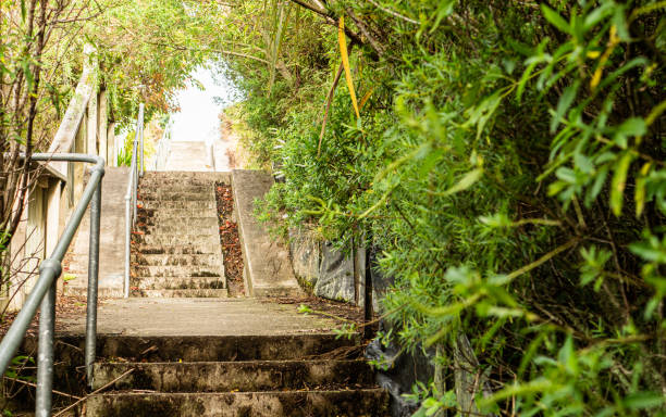 istock A concrete stairs in park surrounded by thick greenery trees urban life 2190123403