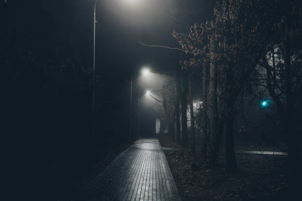istock Foggy misty night. Road illuminated by street lights 2190127743