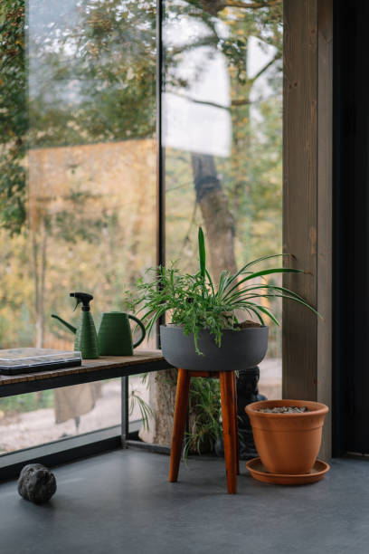istock Cozy Interior with houseplants by a large glass window 2190129467