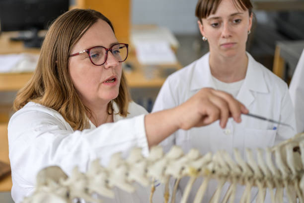 istock Veterinary Anatomy Lecture with Professor and Skeleton Model 2190132416