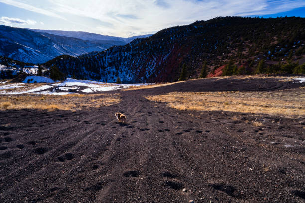 Dirt road through mountain steppe to snowy mountains in early spring in Kazakhstan